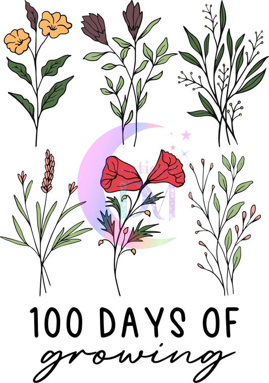 1OO Days of school - 100 days growing flowers