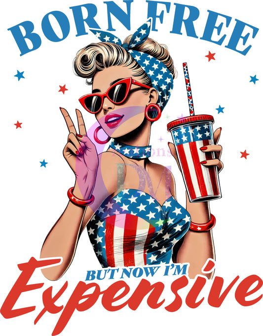 Fourth of July DTF - born free but now im expensive