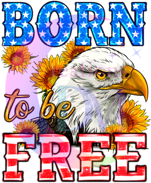 Fourth of July - born free