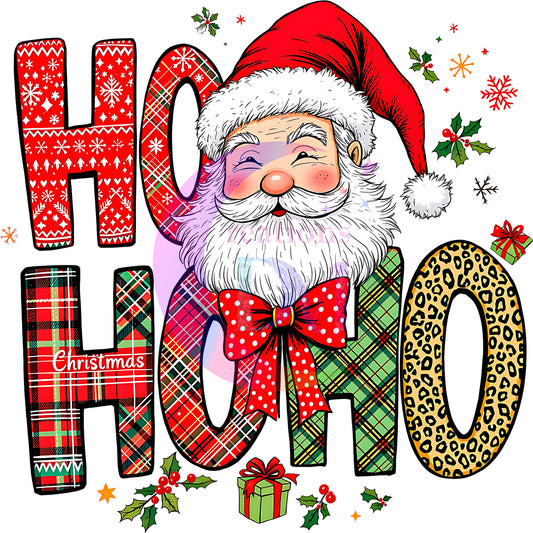 Christmas DTF - HO HO HO santa