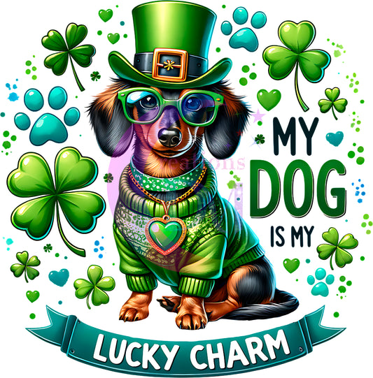 ST PATRICKS - daschund dog