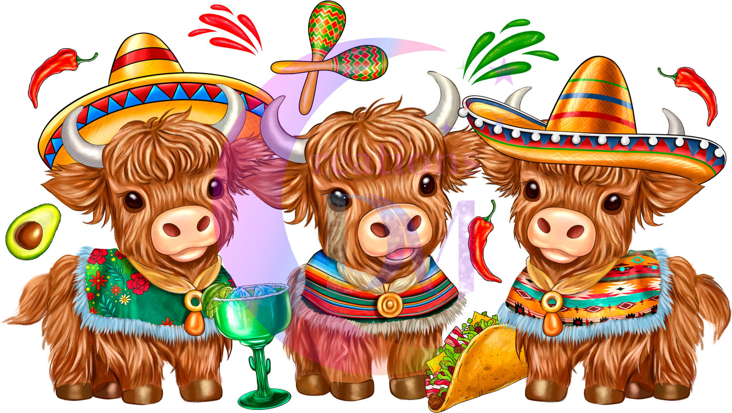 cinco de mayo DTF - cinco de mayo heifers cow baby x3