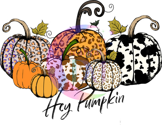 Fall DTF -Hey pumpkin fall