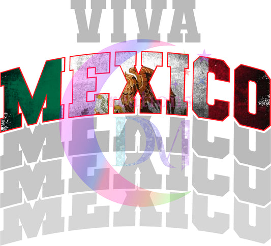 Independence Day - Mexico -viva Mexico grey faded