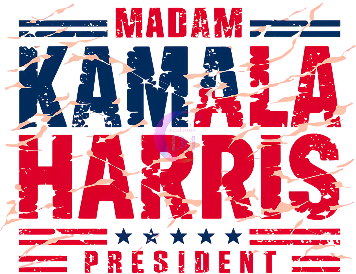 2024 Election - madam kamala president