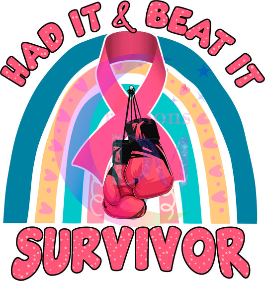 breast cancer awareness month - had it & beat it survivor - boxing gloves