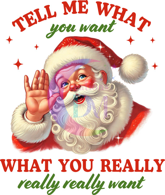 Christmas -  tell me what you want , what you really really want santa